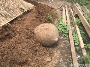 Batu Kenong Zaman Megalitikum Ditemukan Warga Jember saat Gali Septic Tank