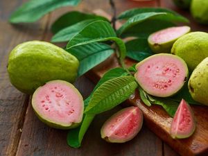 Ini Vitamin dalam Jambu Biji yang Berguna untuk Tingkatkan Imun