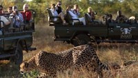 Ngeri! Keamanan Taman Nasional Kruger Diperketat, Ada 2 Turis Diduga Dibunuh