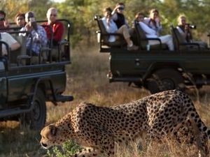 Turis Positif Corona di Taman Nasional Afrika