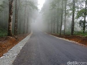 Jalur Cianjur-Ciwidey Kini Sudah Mulus, Waktu Tempuh Jadi 1 Jam Jalur Cianjur-Ciwidey Kini Sudah Mulus, Waktu Tempuh Jadi 1 Jam