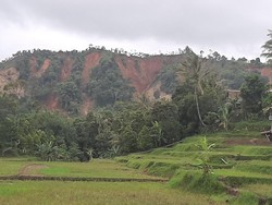 PVMBG Ungkap Faktor Penyebab Longsor di Sukajaya Bogor
