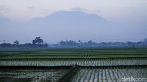 Pagi Sejuk, Siang Terik: Ini Cuaca Bandung Senin 31 Agustus 2026