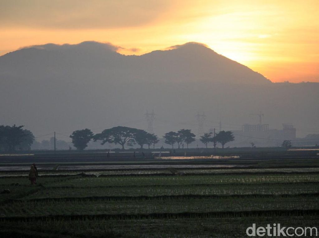 Jangan Malas Berjemur Pagi, Ini Manfaatnya Jangan Malas Berjemur Pagi, Ini Manfaatnya