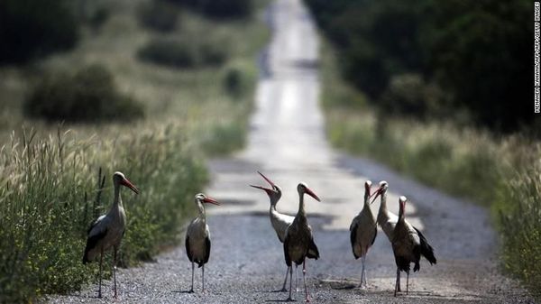 Foto: Surga Tak Sengaja Tercipta oleh Perang
