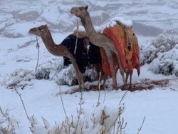 Pernah Ada Hujan Salju di Arab Saudi 2020, Jadi Tanda-tanda Kiamat?