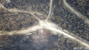 Potret dari Udara Sisa Kebakaran Hutan di Australia