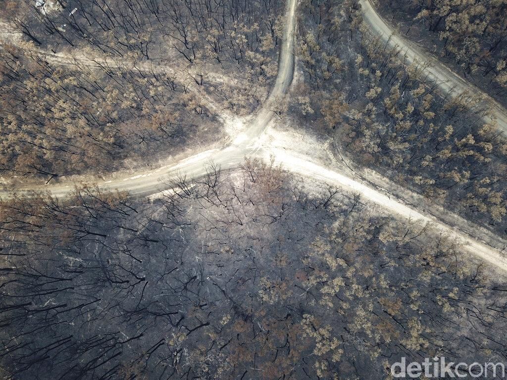 Potret dari Udara Sisa Kebakaran Hutan di Australia