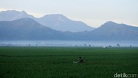 Prakiraan Cuaca Bandung Hari Ini, 13 September 2025: Berawan Sejuk
