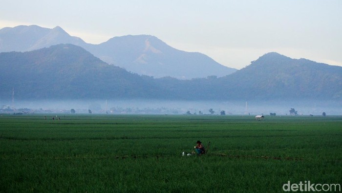 Bandung Cerah, Matahari Terbit dengan Indah Cuaca pagi hari di daerah Kabupaten Bandung, Jawa Barat cerah. Matahari pun terbit dengan indah.