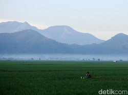 Prakiraan Cuaca Bandung Hari Ini, 17 Juli 2025: Berawan Seharian