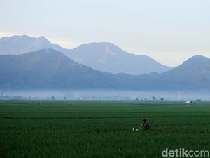 Prakiraan Cuaca Bandung Hari Ini, 31 Juli 2025: Berawan Sepanjang Hari Prakiraan Cuaca Bandung Hari Ini, 31 Juli 2025: Berawan Sepanjang Hari