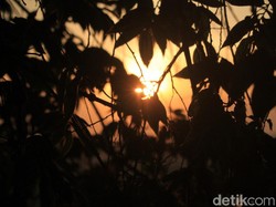 Cuaca Bandung Hari Ini, 14 Oktober 2025: Cerah dengan Kelembapan Tinggi