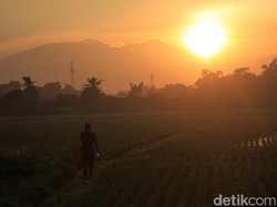 Ilmuwan Ungkap Ada yang Aneh di Matahari