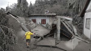 Rumah-rumah Ini Roboh Akibat Abu Vulkanik Taal Volcano