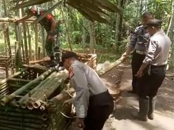 Resahkan Warga, Arena Adu Bagong di Tasik Dibongkar Petugas Gabungan