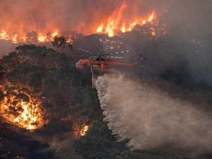 Blink-182 Jualan Kaus untuk Bantu Korban Kebakaran Hutan di Australia