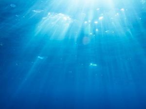 Penelitian Terbaru Ungkap Suhu Laut Tahun 2019 Mencapai Titik Terpanas