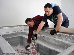 Ingin Hidup Kembali Setelah Mati? Siapkan Rp 500 Juta