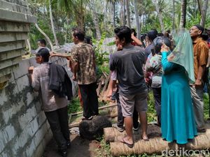Ramai Dijubeli Warga, Pagar Keraton Agung Sejagat Purworejo Roboh
