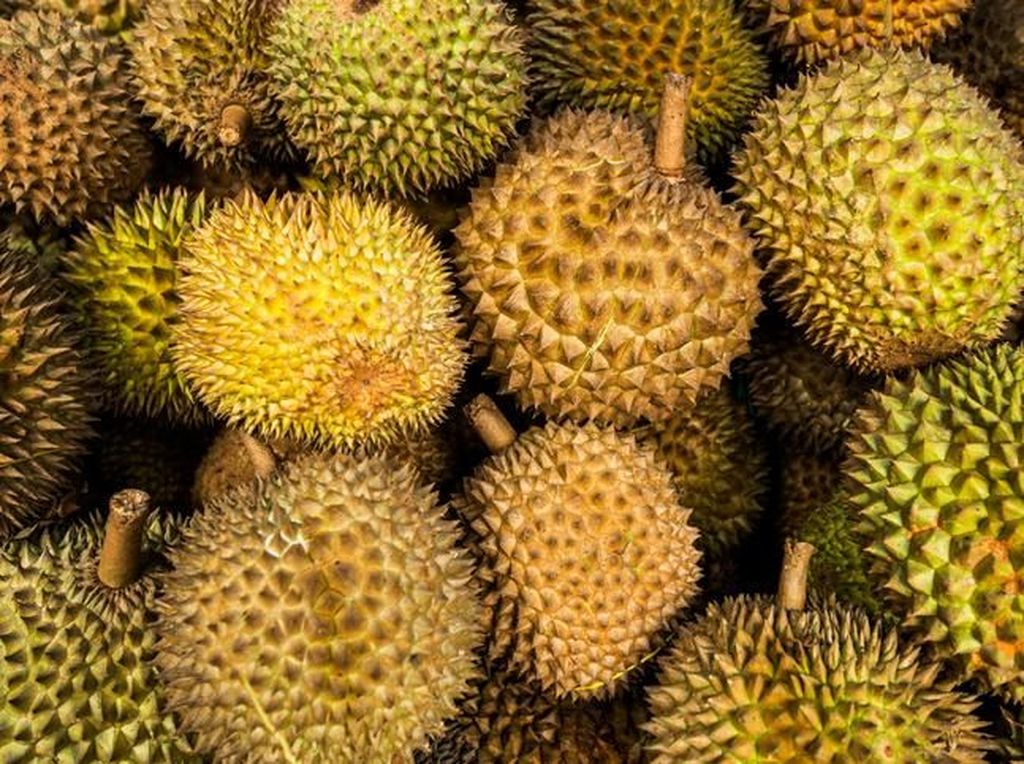 jenis durian paling mahal - Alexandra Pacheco