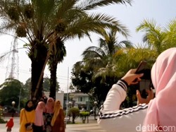 Masyaallah, Pohon Kurma di Masjid Agung Tasik Berbuah Lebat