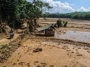 Penampakan Sawah Rusak Usai Diterjang Banjir Bandang di Lebak