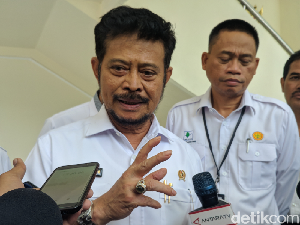 Mentan Sebut Eucalyptus Bukan Obat, tapi Pencegah Virus Mentan Sebut Eucalyptus Bukan Obat, tapi Pencegah Virus