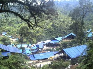 Cerita Gurandil soal Sosok di Balik Tambang Emas Ilegal TNGHS