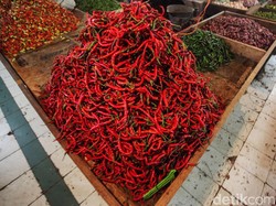 Harga Sembako Jogja Hari Ini 14 Februari 2025: Cabai Merah Besar Turun Harga!