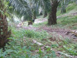 Anak Hakim Jamaluddin: Zuraida Nggak Manusiawi, Harus Dihukum Berat Anak Hakim Jamaluddin: Zuraida Nggak Manusiawi, Harus Dihukum Berat