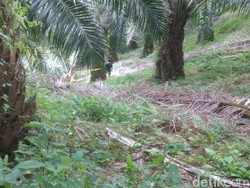 Anak Hakim Jamaluddin: Zuraida Nggak Manusiawi, Harus Dihukum Berat