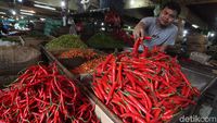 Harga Cabai Pedas Banget