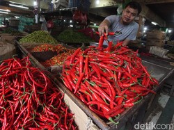 Harga Cabai Besar di Denpasar Masih Stabil Tinggi Rp 55 Ribu Per Kilo