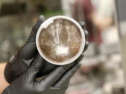 NASA Ubah Jamur Jadi Bahan Rumah Manusia di Mars