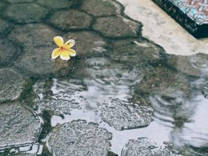 Pesona di Kala Rintik Hujan Pesona di Kala Rintik Hujan