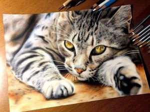 7 Tips agar Kucing Tidak Buang Kotoran Sembarangan di Luar Litter Box