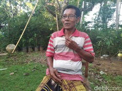 Kapok, Eks Pengikut Harap Tak Ada Lagi Korban Keraton Agung Sejagat