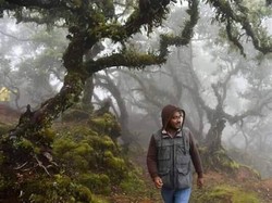 Cagar Alam yang Menakjubkan dari NTT