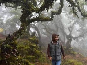 Naik Kelas dari Cagar Alam ke Taman Nasional Mutis, Kampanye Penolakan Muncul Naik Kelas dari Cagar Alam ke Taman Nasional Mutis, Kampanye Penolakan Muncul