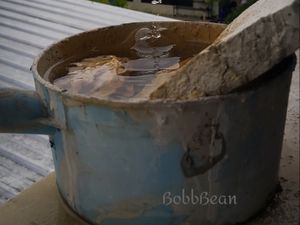 Tetesan Air Sehabis Hujan Tetesan Air Sehabis Hujan