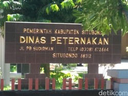 Serangga Misterius yang Serang Rumah Warga Bisa Sulap Limbah Jadi Kompos?