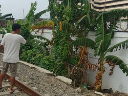 Ini Lokasi Bekas Raja Keraton Agung Sejagat Dulu Tinggal di Ancol