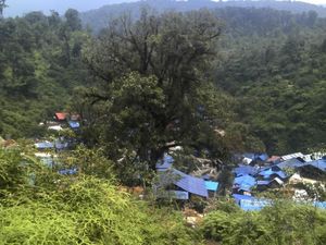 Ritual Penambang Emas Ilegal di TNGHS, Potong Kambing-Bakar Kemenyan