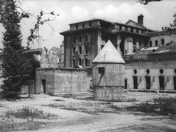 Adolf Hitler Sembunyi di Bunker, Vegetarian Sampai Mati