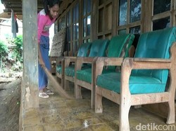 Mengapa Serangga Misterius di Situbondo Hanya Serang Satu Rumah?