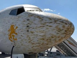 Pesawat Sudah Mau Mendarat, eh Malah Ketemu Belalang Tempur