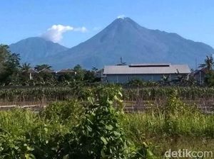Penampakan Gunung Merapi yang Mempesona Siang Ini