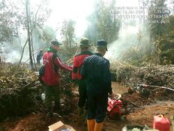 Hutan Suaka Margasatwa di Riau Terbakar, Heli Water Bombing Dikerahkan