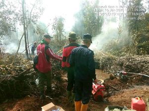 Hutan Suaka Margasatwa di Riau Terbakar, Heli Water Bombing Dikerahkan